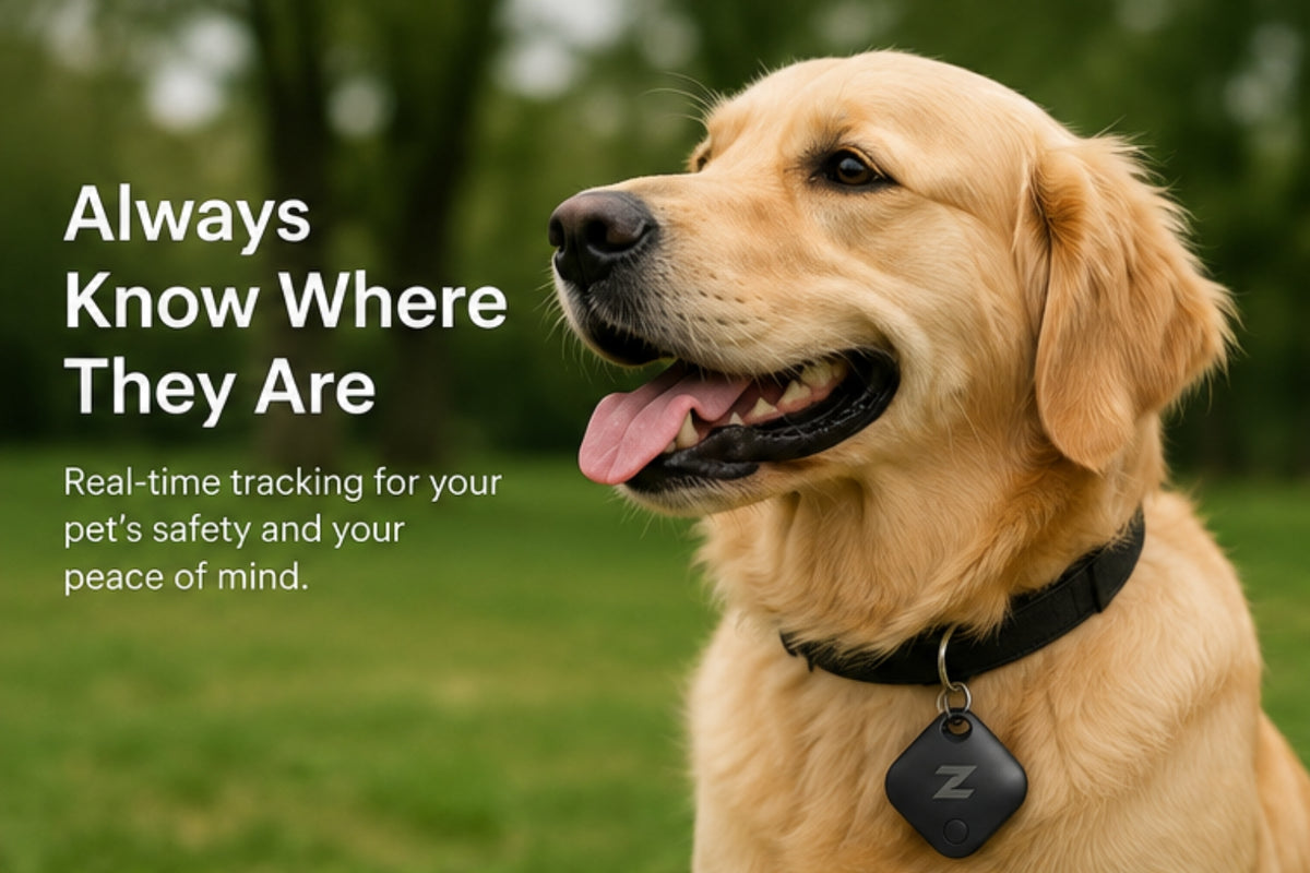 Smart GPS Pet Tracker – Real-Time Location & Safety Tracker for Dogs & Cats