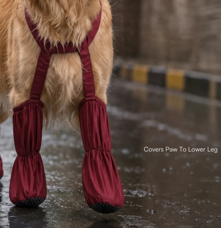 Waterproof Dog Leg Covers – Protective Dog Rain Boots & Paw Covers for Wet, Muddy Walks