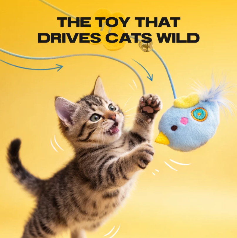 THE AUTOMATIC YO-YO TOY THAT DRIVES CATS WILD