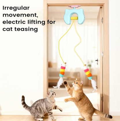 THE AUTOMATIC YO-YO TOY THAT DRIVES CATS WILD
